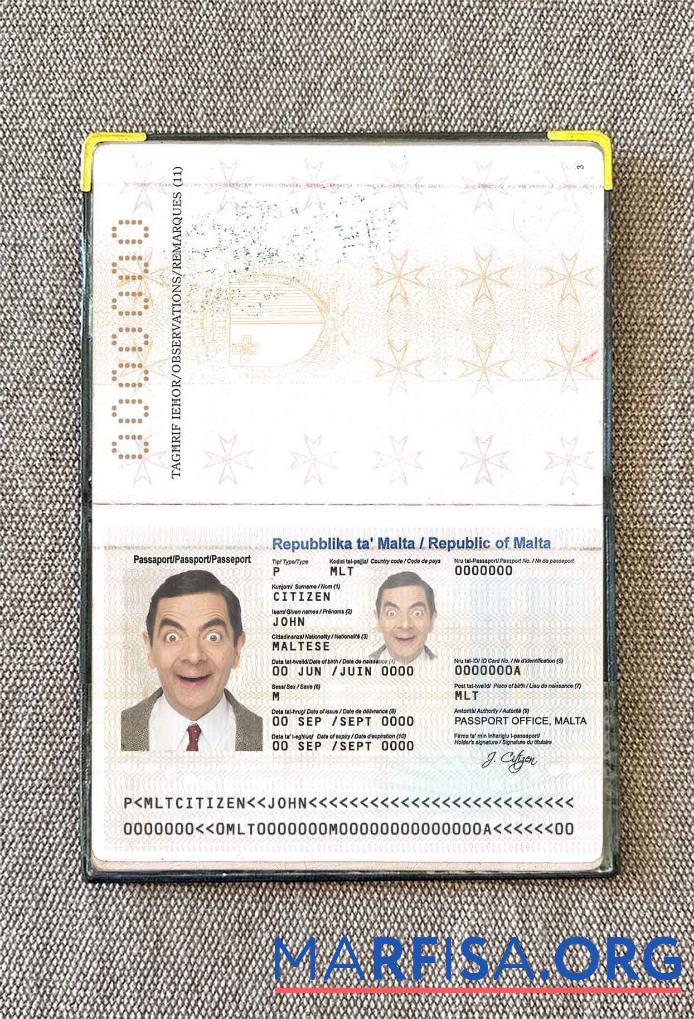 Downloadable Malta passport photo look template